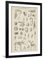 Organic Remains-null-Framed Giclee Print