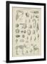 Organic Remains-null-Framed Giclee Print