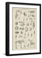 Organic Remains-null-Framed Giclee Print