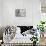 Organic Rings II-Lanie Loreth-Mounted Premium Giclee Print displayed on a wall