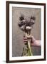 Organic Serpent Garlic-Maxine Adcock-Framed Photographic Print