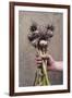 Organic Serpent Garlic-Maxine Adcock-Framed Photographic Print