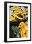 Organic Squash at a Farmer's Market in Savannah, Savannah, Georgia, USA-Joanne Wells-Framed Photographic Print