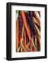 Organic Squash at a Farmer's Market in Savannah, Savannah, Georgia, USA-Joanne Wells-Framed Photographic Print