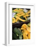 Organic Squash at a Farmer's Market in Savannah, Savannah, Georgia, USA-Joanne Wells-Framed Photographic Print