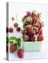 Organic Strawberries with Stems in a Dish-Valerie Janssen-Stretched Canvas