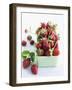 Organic Strawberries with Stems in a Dish-Valerie Janssen-Framed Photographic Print