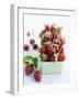 Organic Strawberries with Stems in a Dish-Valerie Janssen-Framed Photographic Print