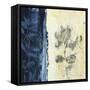 Organic Study II-Simon Addyman-Framed Stretched Canvas