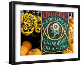 Organic Sunflowers and Pumpkins, Ferry Building Farmer's Market, San Francisco, California, USA-Inger Hogstrom-Framed Premium Photographic Print