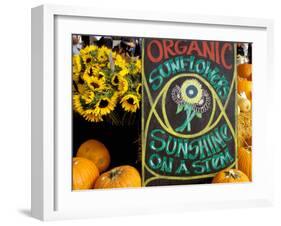 Organic Sunflowers and Pumpkins, Ferry Building Farmer's Market, San Francisco, California, USA-Inger Hogstrom-Framed Premium Photographic Print