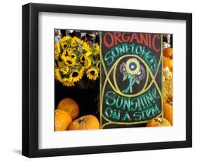 Organic Sunflowers and Pumpkins, Ferry Building Farmer's Market, San Francisco, California, USA-Inger Hogstrom-Framed Photographic Print