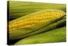 Organic, Sweet Corn-null-Stretched Canvas
