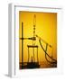 Organic Synthesis-Andrew Lambert-Framed Photographic Print