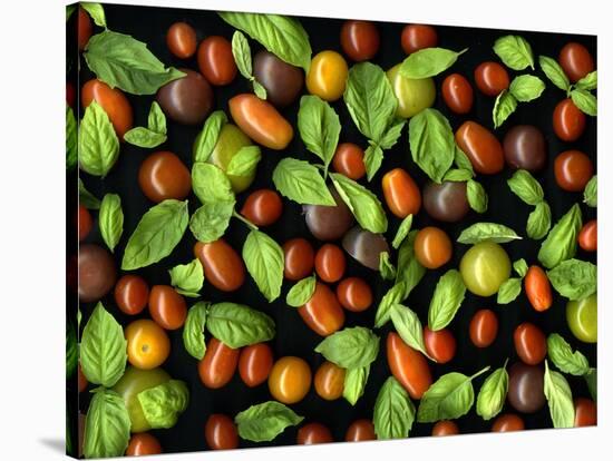 Organic Tomatoes and Basil Isolated-Christian Slanec-Stretched Canvas
