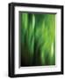 Organic V-Andrew Michaels-Framed Photographic Print