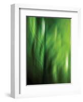 Organic V-Andrew Michaels-Framed Photographic Print