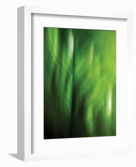 Organic V-Andrew Michaels-Framed Photographic Print