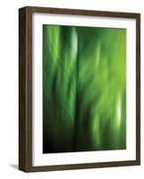 Organic V-Andrew Michaels-Framed Photographic Print