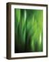 Organic V-Andrew Michaels-Framed Photographic Print