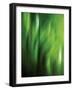 Organic V-Andrew Michaels-Framed Photographic Print