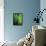 Organic V-Andrew Michaels-Framed Stretched Canvas displayed on a wall