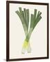 Organic Veg II-Victoria Barnes-Framed Premium Giclee Print
