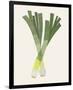 Organic Veg II-Victoria Barnes-Framed Premium Giclee Print