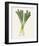 Organic Veg II-Victoria Barnes-Framed Art Print