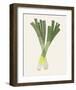 Organic Veg II-Victoria Barnes-Framed Art Print