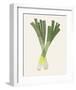 Organic Veg II-Victoria Barnes-Framed Art Print