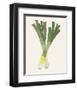 Organic Veg II-Victoria Barnes-Framed Art Print