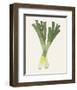 Organic Veg II-Victoria Barnes-Framed Art Print