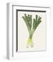 Organic Veg II-Victoria Barnes-Framed Art Print