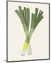 Organic Veg II-Victoria Barnes-Mounted Art Print