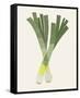 Organic Veg II-Victoria Barnes-Framed Stretched Canvas