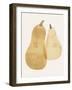 Organic Veg VI-Victoria Barnes-Framed Art Print