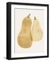 Organic Veg VI-Victoria Barnes-Framed Art Print