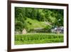 Organic Vegetable Garden-David Ionut-Framed Photographic Print