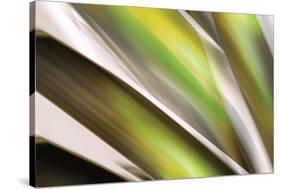 Organic VI-Andrew Michaels-Stretched Canvas