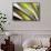 Organic VI-Andrew Michaels-Framed Stretched Canvas displayed on a wall