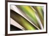 Organic VI-Andrew Michaels-Framed Photographic Print