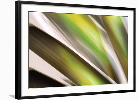 Organic VI-Andrew Michaels-Framed Photographic Print