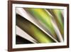 Organic VI-Andrew Michaels-Framed Photographic Print