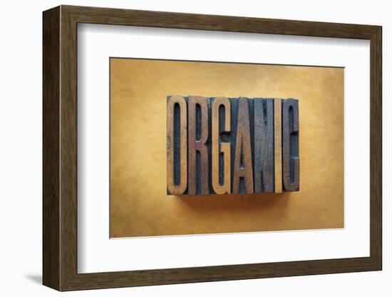 Organic-enterlinedesign-Framed Photographic Print