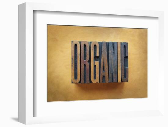 Organic-enterlinedesign-Framed Photographic Print