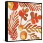 OrganicPatterns    leaves, ferns, fall colors-Robbin Rawlings-Framed Stretched Canvas