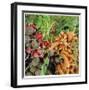 Organics-Stacy Bass-Framed Giclee Print