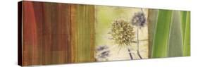 Organics-Andrew Michaels-Stretched Canvas