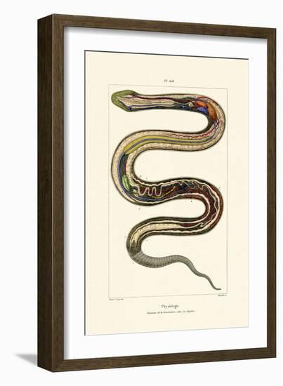 Organs, 1833-39-null-Framed Giclee Print